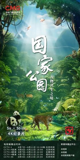 热血动漫剧场选辑封面