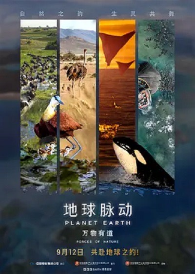 自然纪录片专题封面